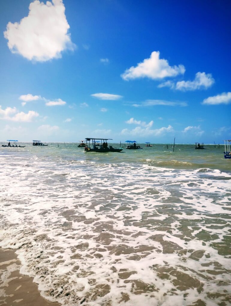 MACEIO 05